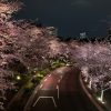 東京都外出自粛