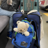 DHサイのNEW YORK旅行記＿航空券再検索編