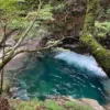 山梨県へ行ってきました⛰️✨