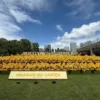 夏休み🌻